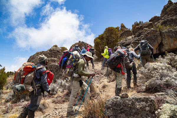 Trekking the Kilimanjaro Northern Circuit