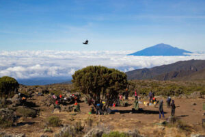 Resting above the clouds Kilimanjaro Northern Circuit