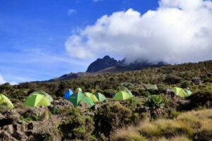 Kilimanjaro camp in the shrubbery Rongai