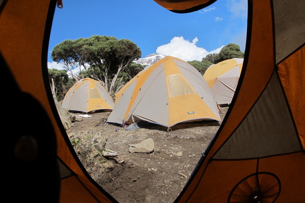 Kilimanjaro campsite through tent door